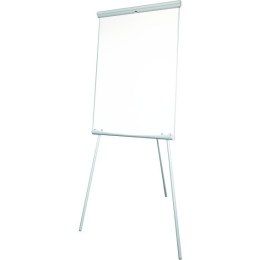 FLIPCHART 2X3 ECOBOARDS 2012