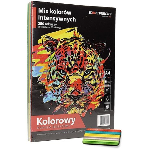 Papier Emerson A4/80g intensywny 5 kolorów (5x20)