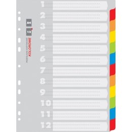 PRZEKŁADKI KARTONOWE A4 INDEX 12 KOLORÓW