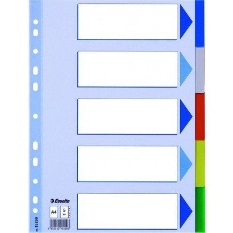 PRZEKŁADKI PP ESSELTE A4 INDEX 5 KOLORÓW